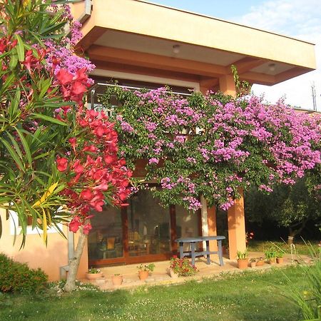 קאלי Apartman Lavanda מראה חיצוני תמונה