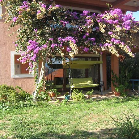 קאלי Apartman Lavanda מראה חיצוני תמונה