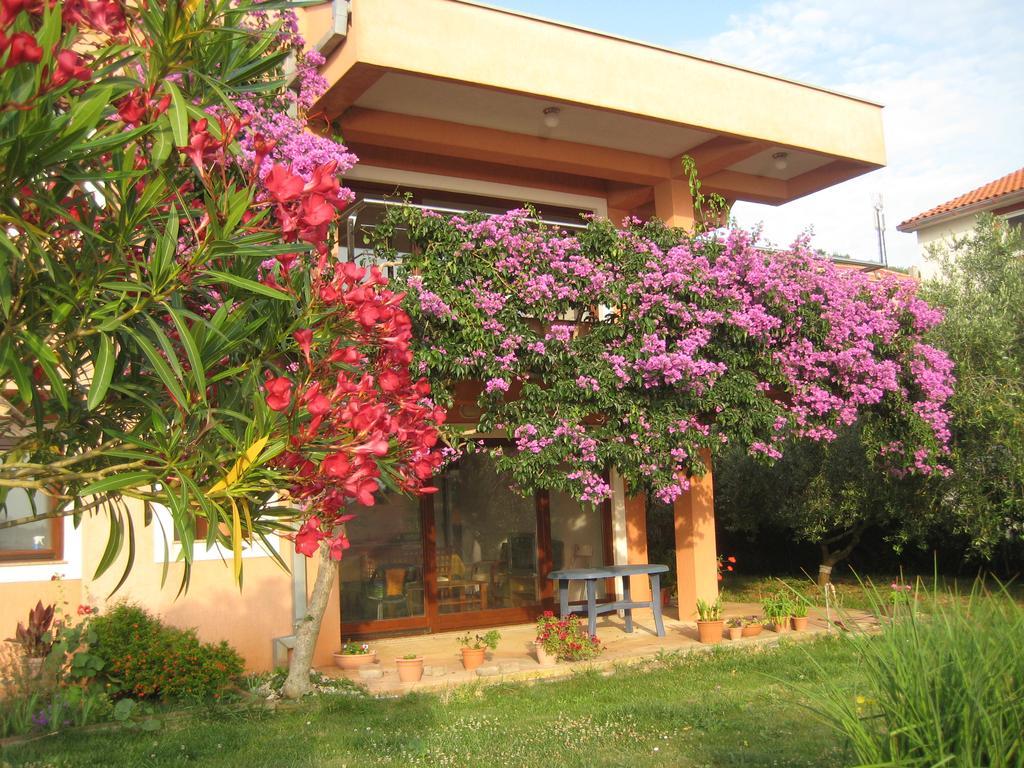 קאלי Apartman Lavanda מראה חיצוני תמונה
